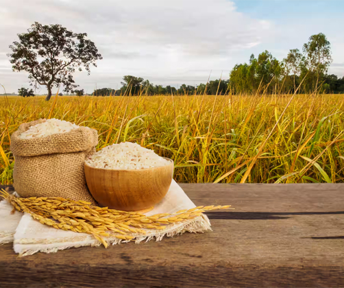 National Agro Industries